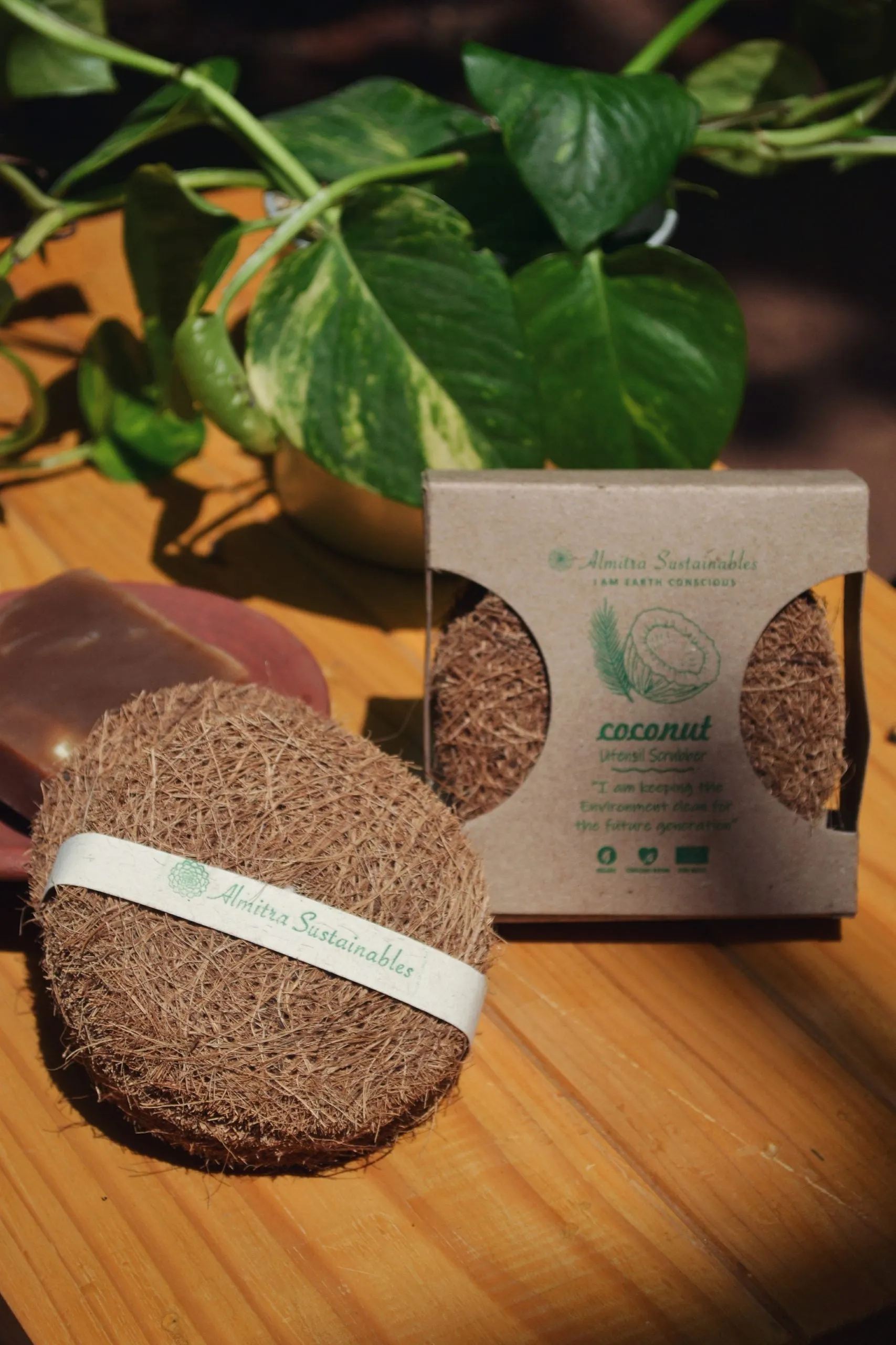 Coconut Fiber Cleaning Kit Pack of 5 Coir Brushes