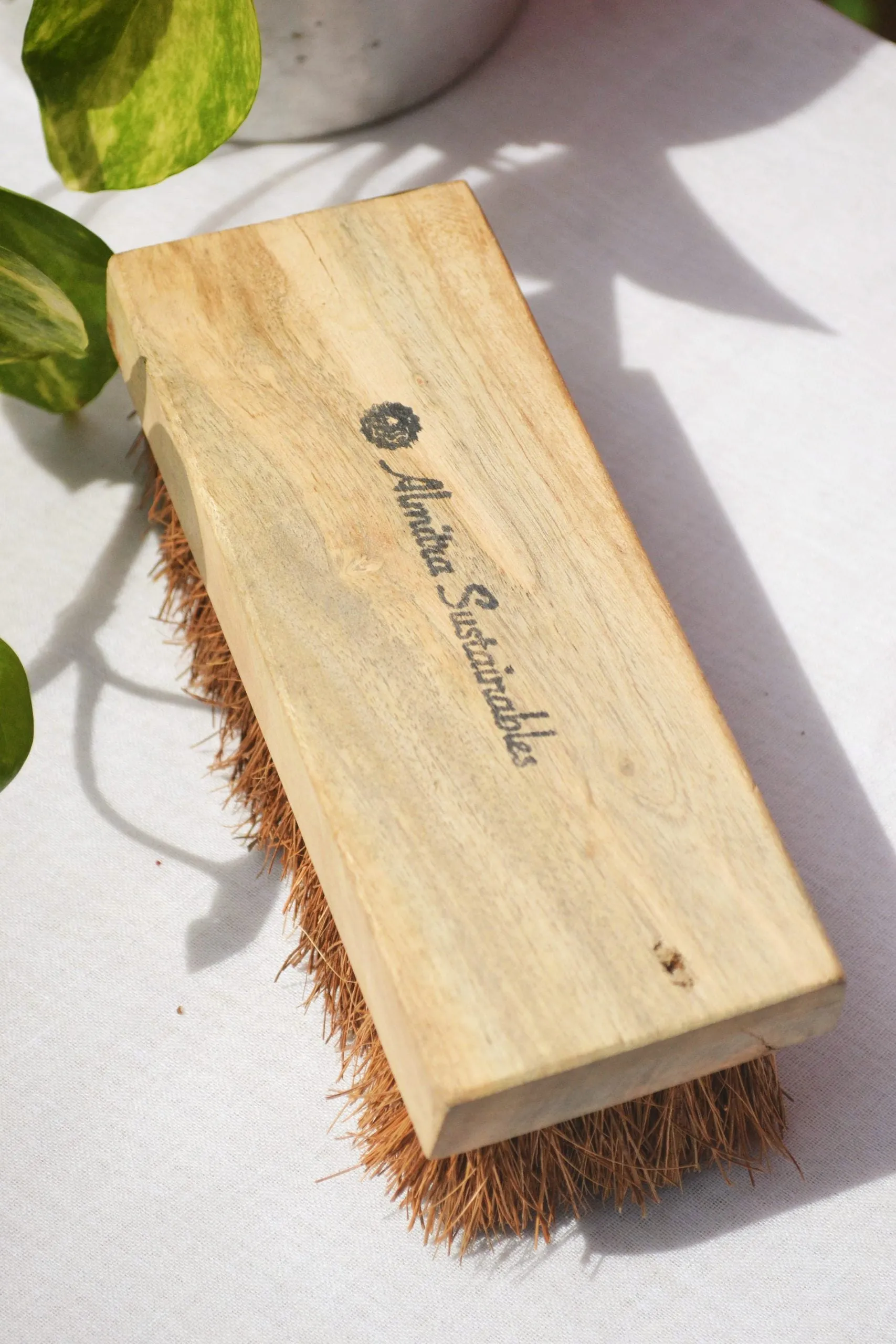 Coconut Fiber Cleaning Kit Pack of 5 Coir Brushes