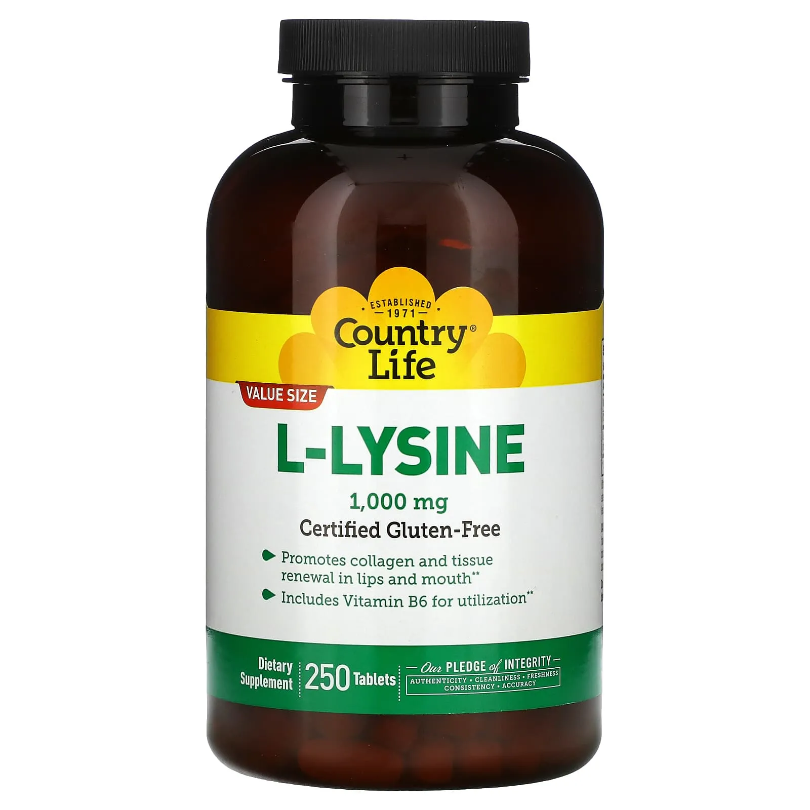 Country Life, L-LYSINE 1000 mg W/B-6, 250 Tablets