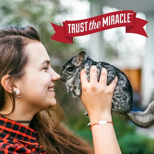 Nature's Miracle Small Animal Cage Scrubbing Wipes