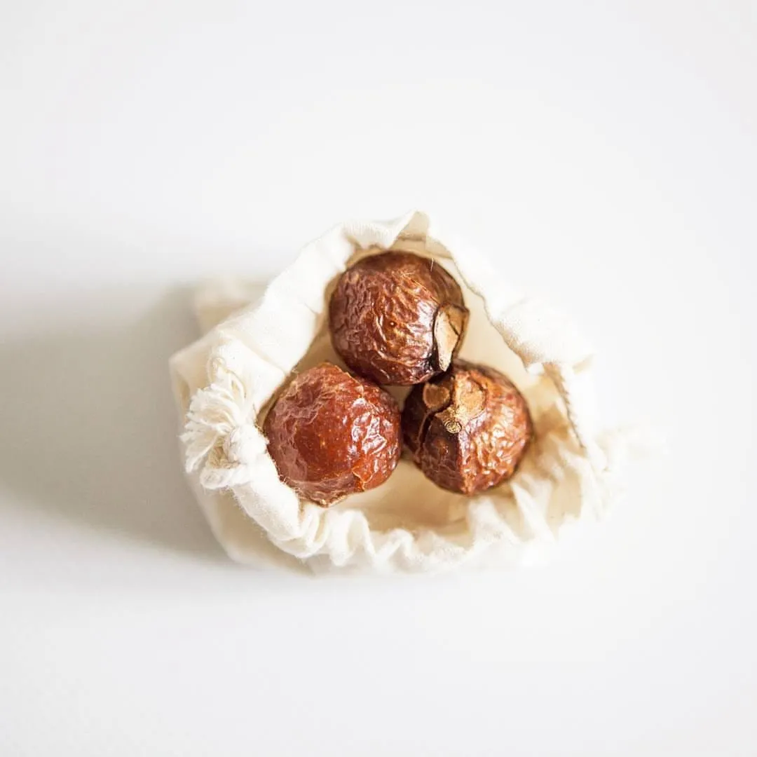 Organic Soap Berries (Soap Nuts) Natural Laundry Detergent 500g