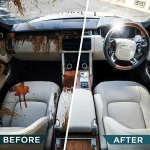 Powerful Stain Removal Kit