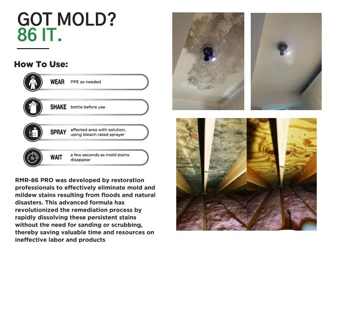 RMR-86 Pro Instant Mold & Mildew Stain Remover