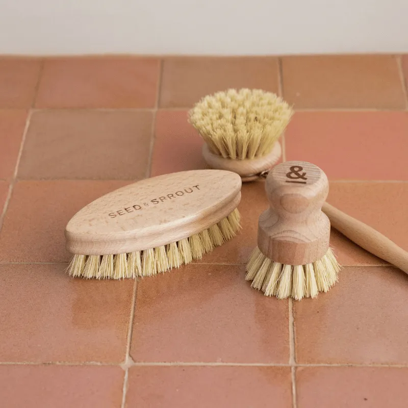 Starter Brush Set - Pre Order