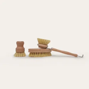 Starter Brush Set - Pre Order