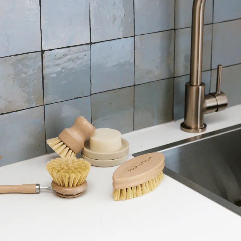 Starter Brush Set - Pre Order